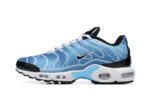 Nike Tn